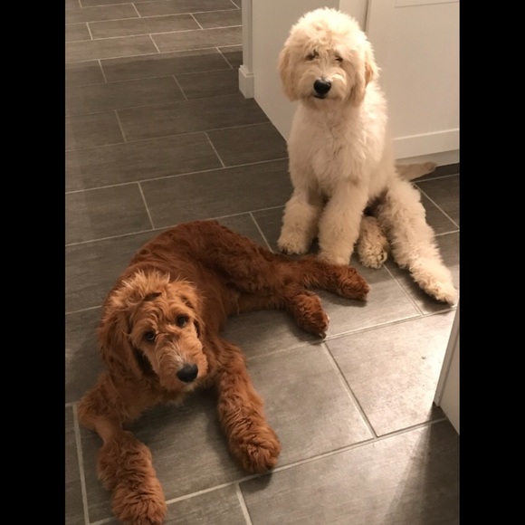 Meet your Posher, Stacy - Picture 4 of 4